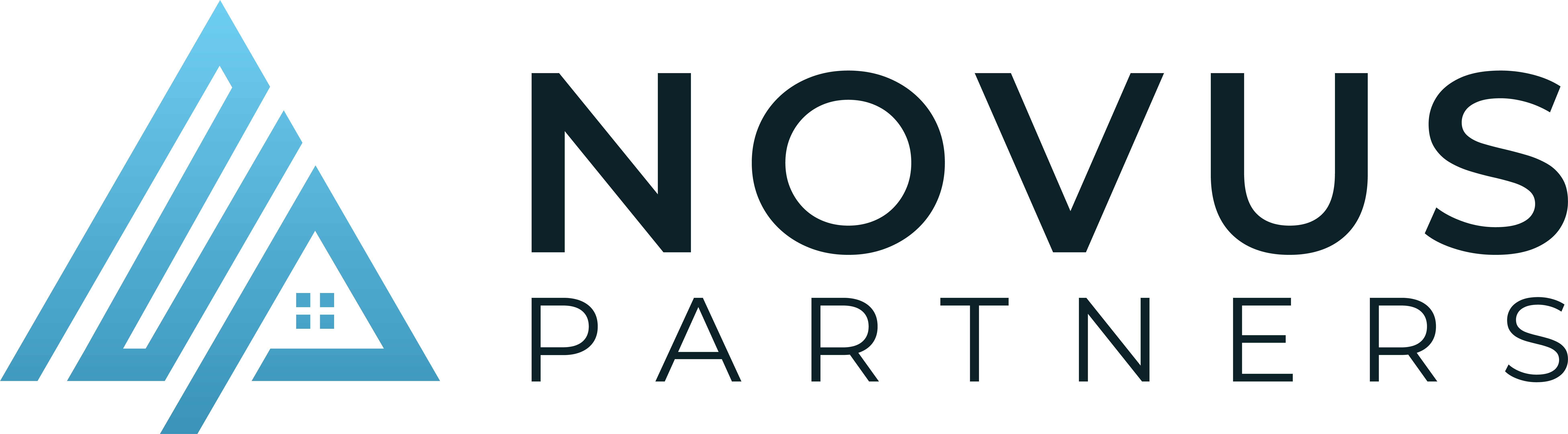 Novus Partners logo